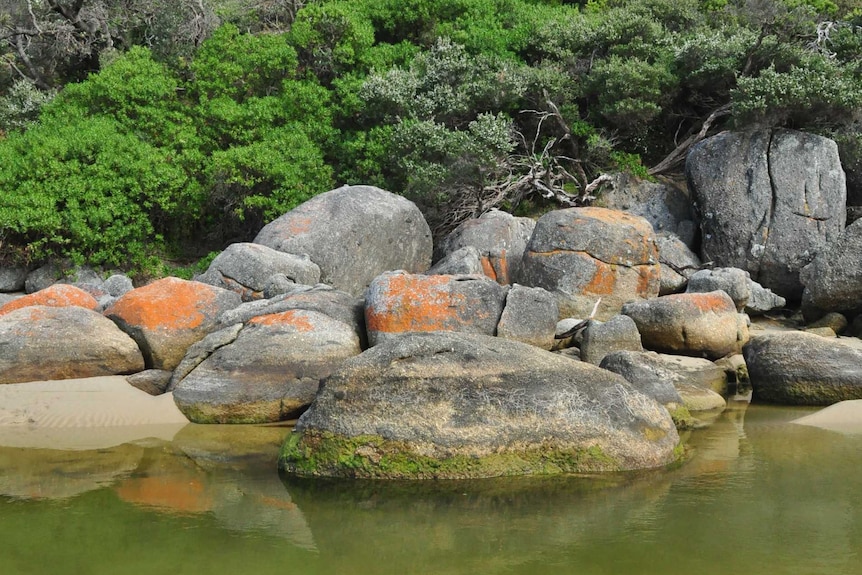 Rocks in a river with green trees behind.