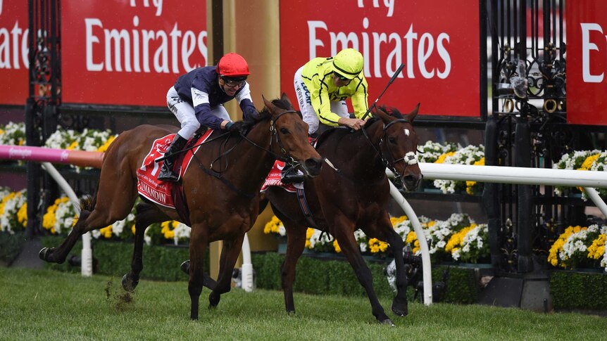 Almandin pips Heartbreak City in the Melbourne Cup