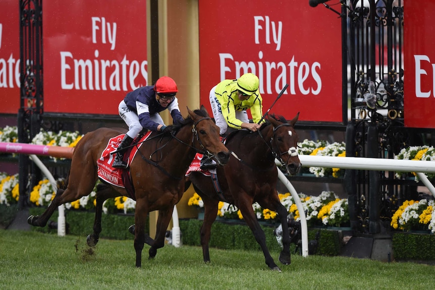 Almandin pips Heartbreak City in the Melbourne Cup