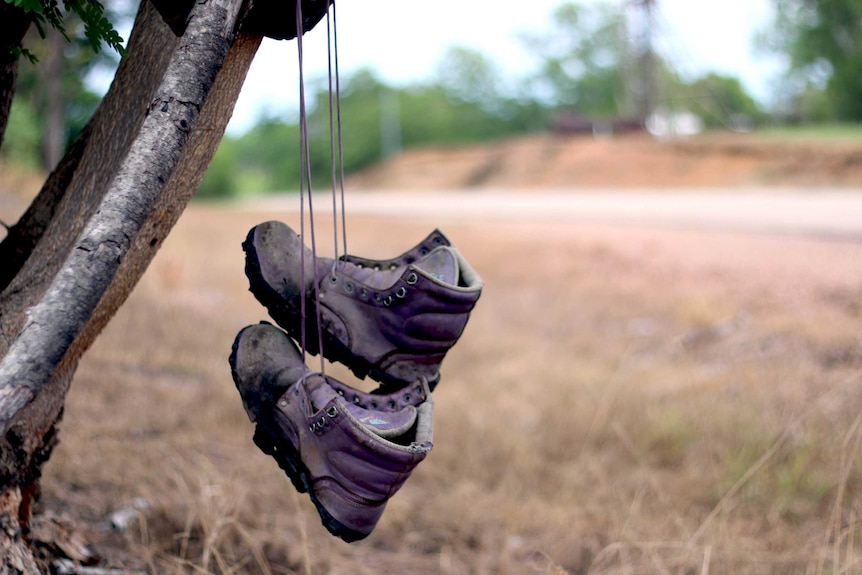 Pine Creek boot tree