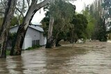 Floodwaters near house at Myrtleford in Victoria