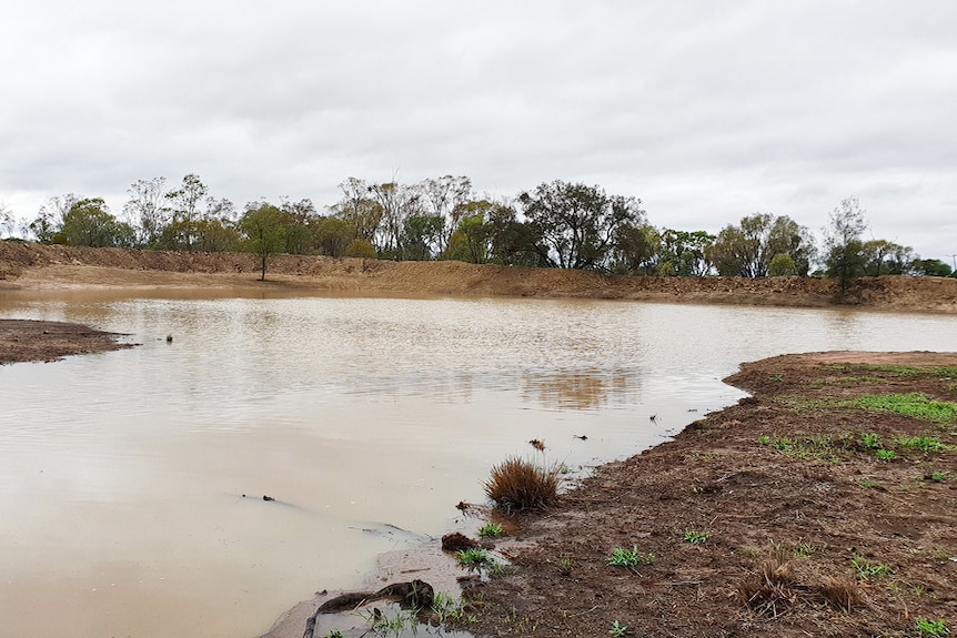 A farm dam filling with water