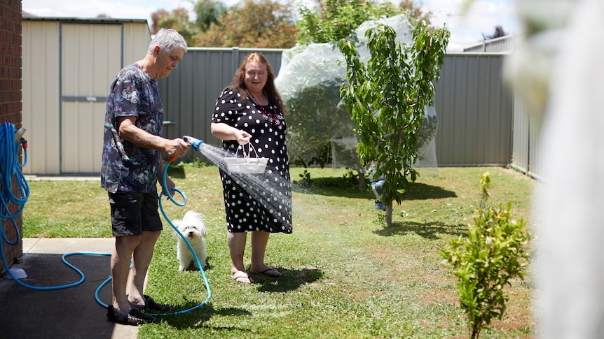 Two people watering their back yard with a fluffy white dog at their heels.