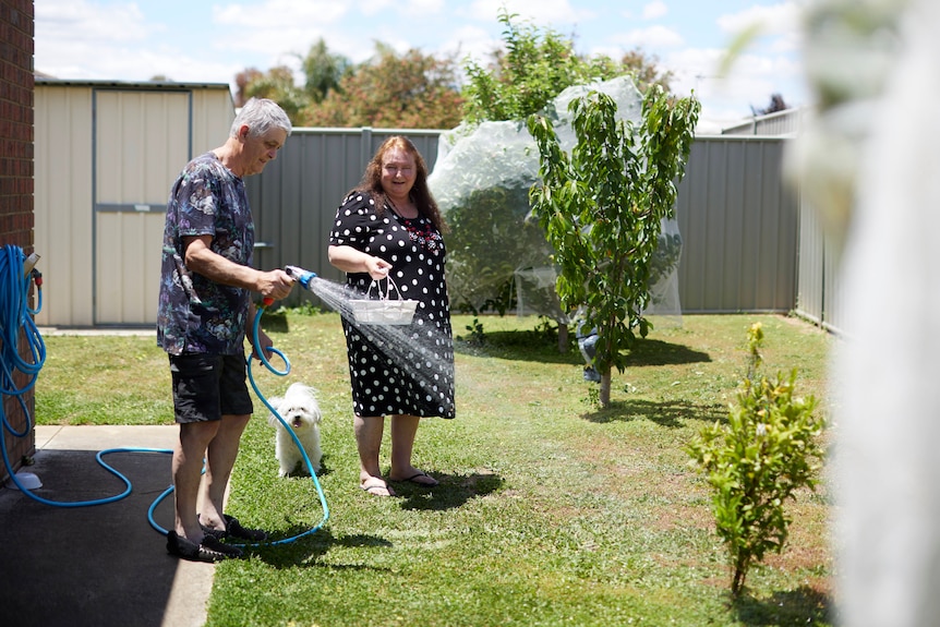 Two people watering their back yard with a fluffy white dog at their heels.