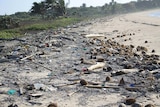 Rubbish littered all over Chilli Beach