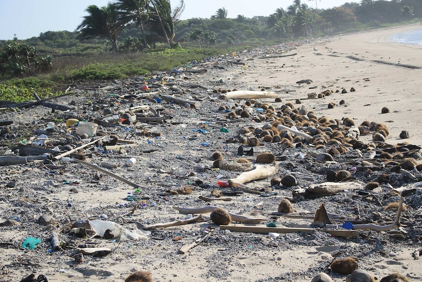 Rubbish littered all over Chilli Beach