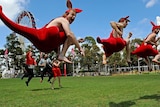 Circus Oz performers