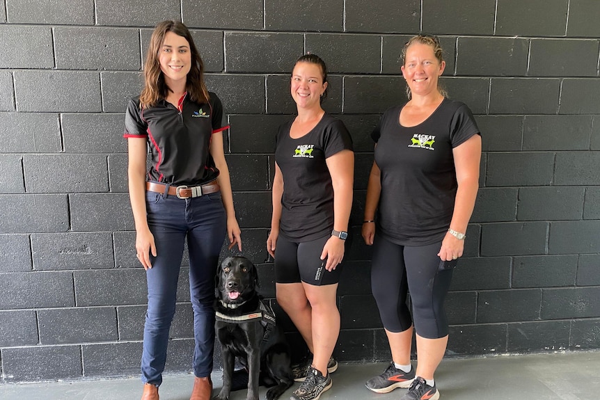 Labrador Max with owner Zoe Eagger and trainers Ell Young and Sam Eeles