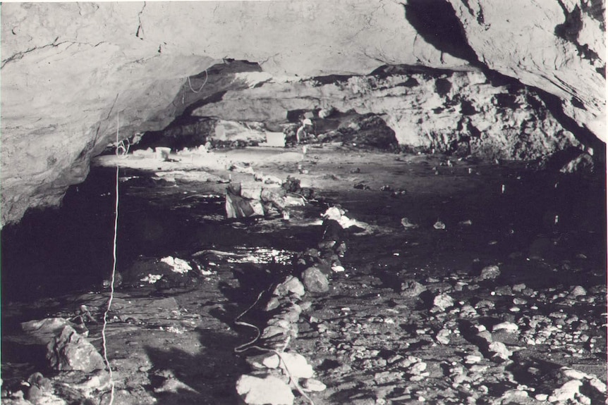 An early researcher explores a fossil chamber at Naracoorte Caves, 1975.