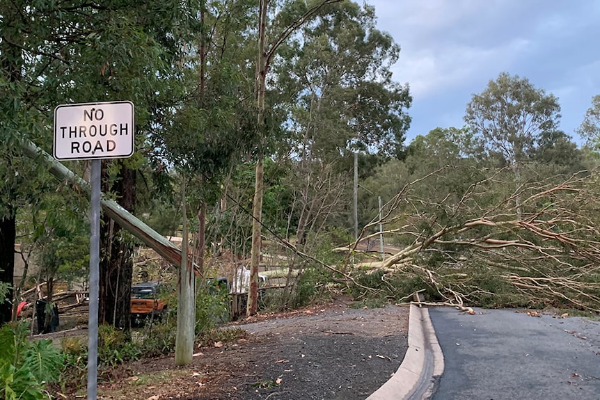 Trees brought down powerlines at Chuwar.