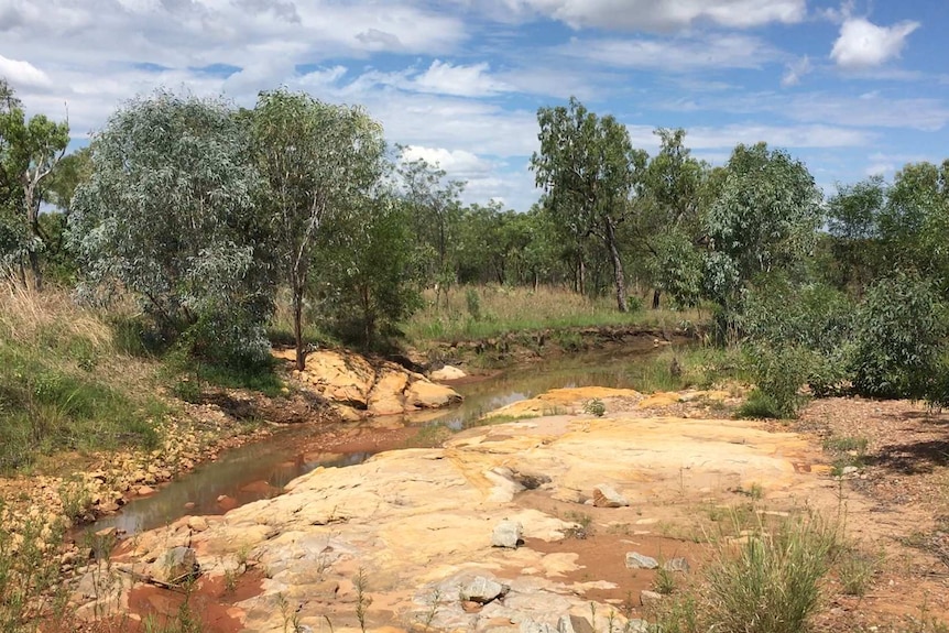 The creek where Philchowski was said to have been speared to death by Wallambain.