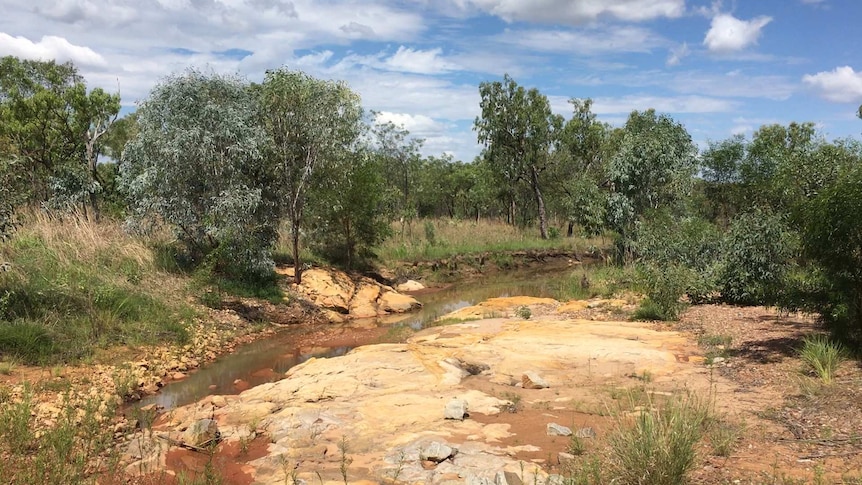 The creek where Philchowski was said to have been speared to death by Wallambain.