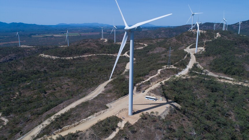 A wind farm.