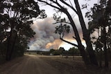 Smoke billowing over paddocks from a blaze at Cape Conran in Victoria.