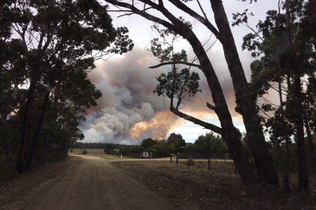 Smoke billowing over paddocks from a blaze at Cape Conran in Victoria.