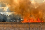 A grass fire burns in a field with buildings in the background