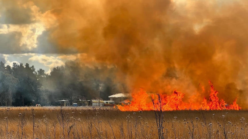 A grass fire burns in a field with buildings in the background