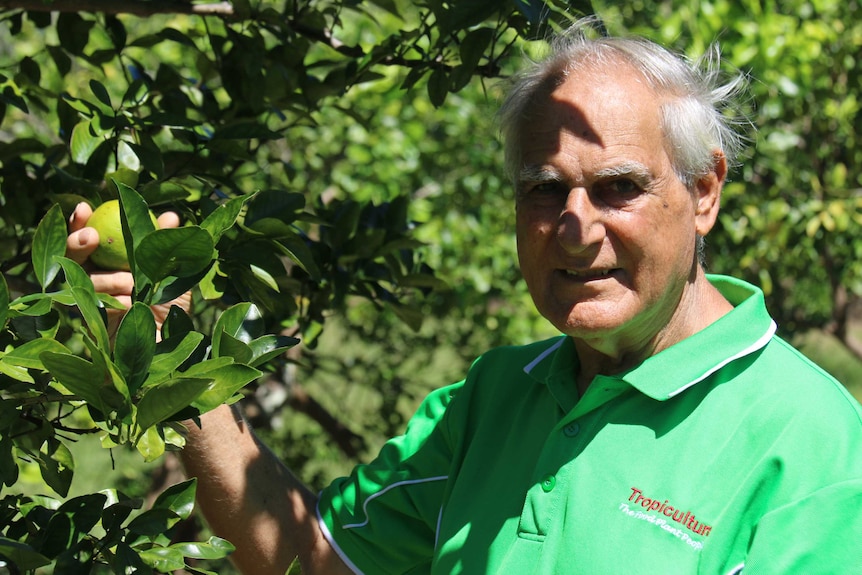 Chris Nathanael holding a lime still attached to the branch.