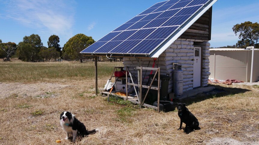 A large solar panel out in a paddock with two dogs sitting nearby.
