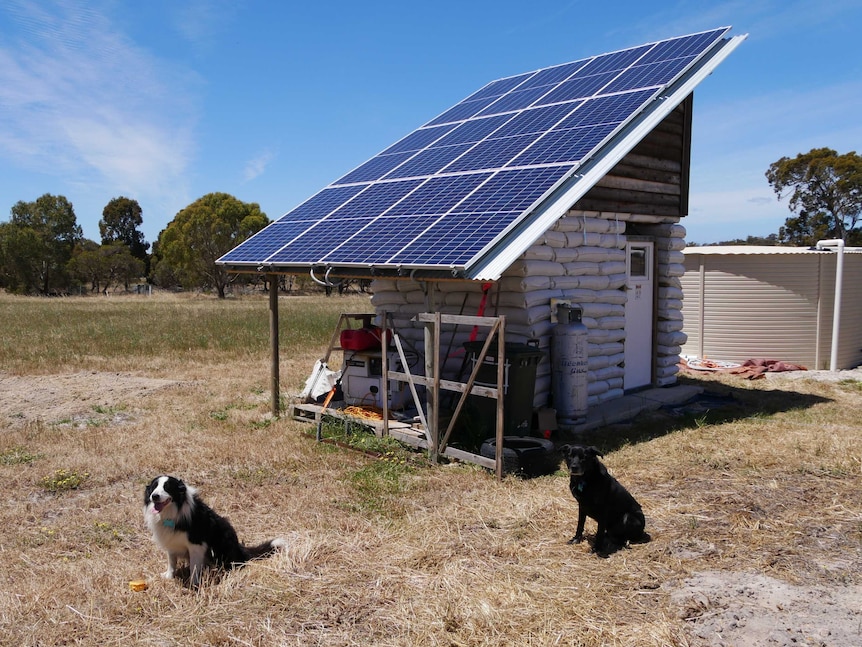 A large solar panel out in a paddock with two dogs sitting nearby.