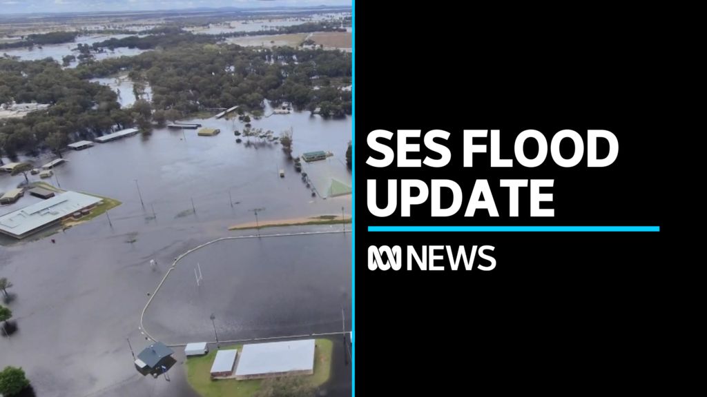 More than 100 flood warnings active across NSW - ABC News