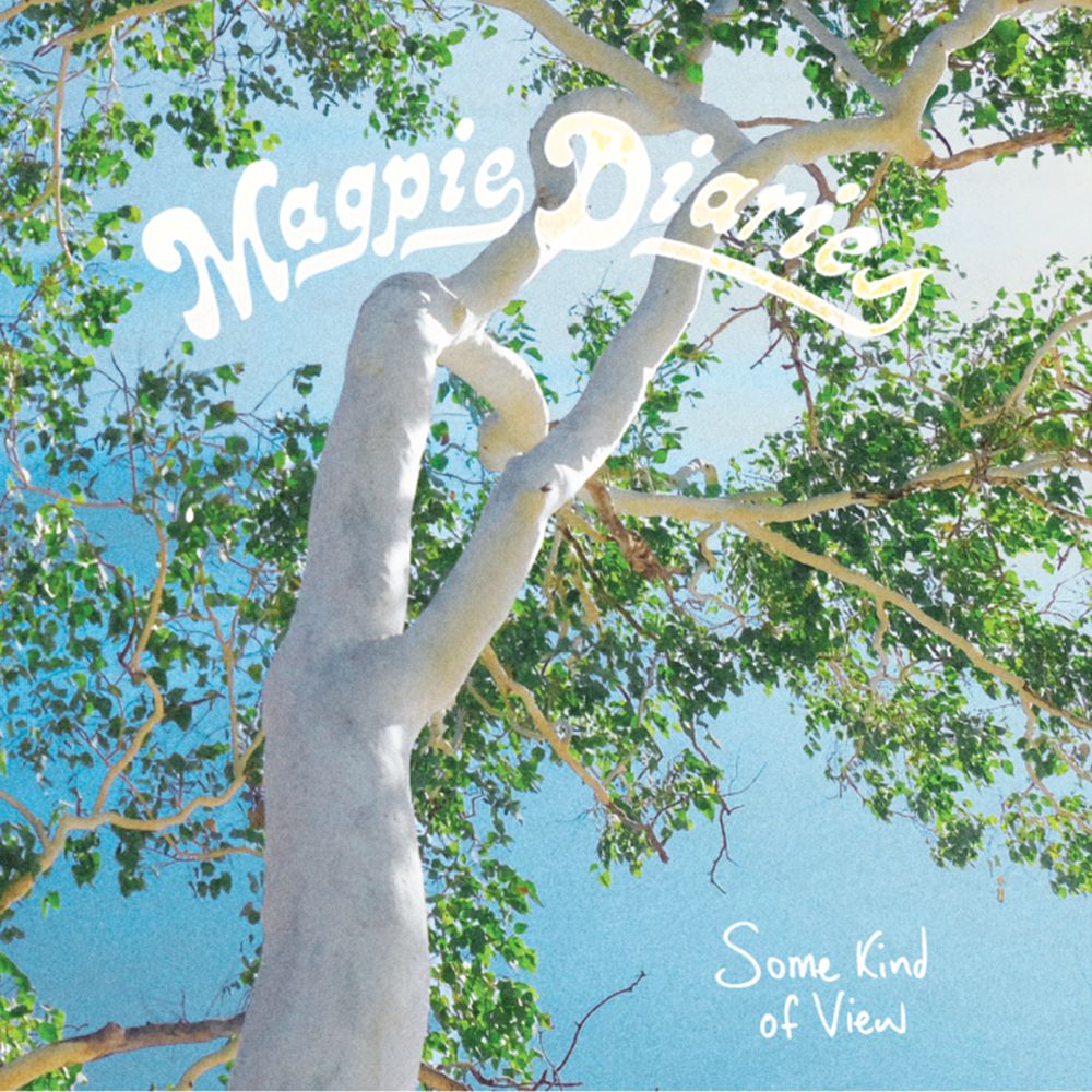 Mapgie Diaries 'Some Kind of View' ARTWORK