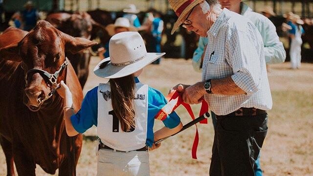 A young cattle handler is presented with a ribbon prize, as she holds her bull.