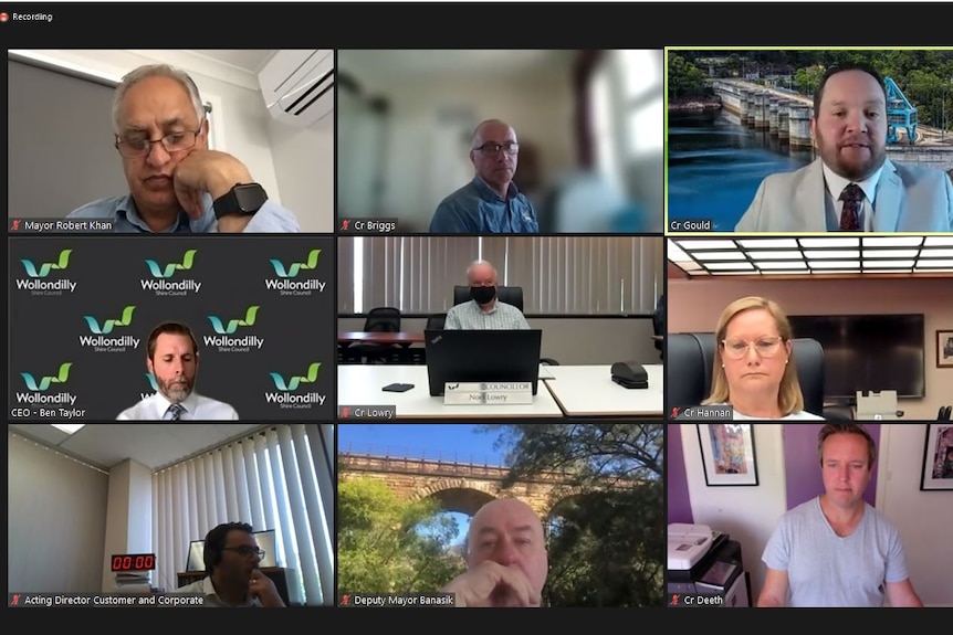 A screenshot of councillors attending a meeting via Zoom.