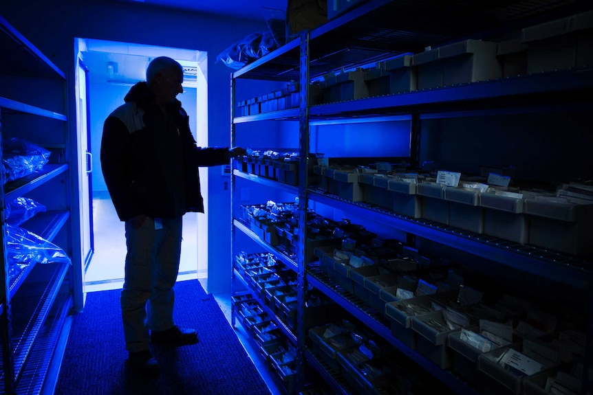 Blue lights shine inside a seed vault