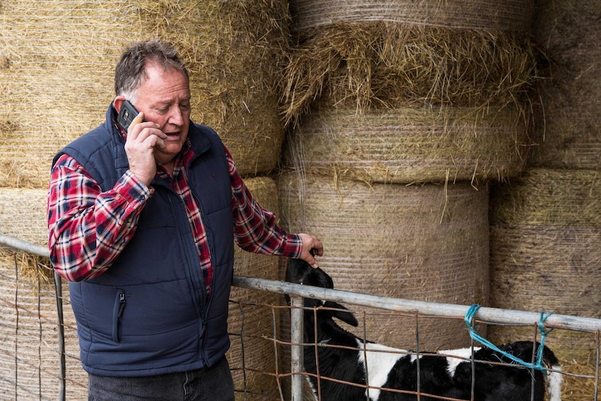 Dairy farmer Michael Perkins fields dozens of calls a day from people wanting to donate around Tasmania