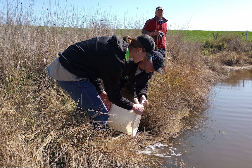 Two people crouched down holding a bucket at the edge of a creek.