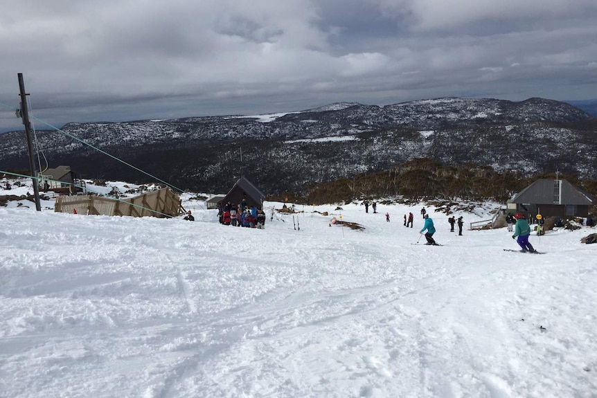 Mt Field ski run