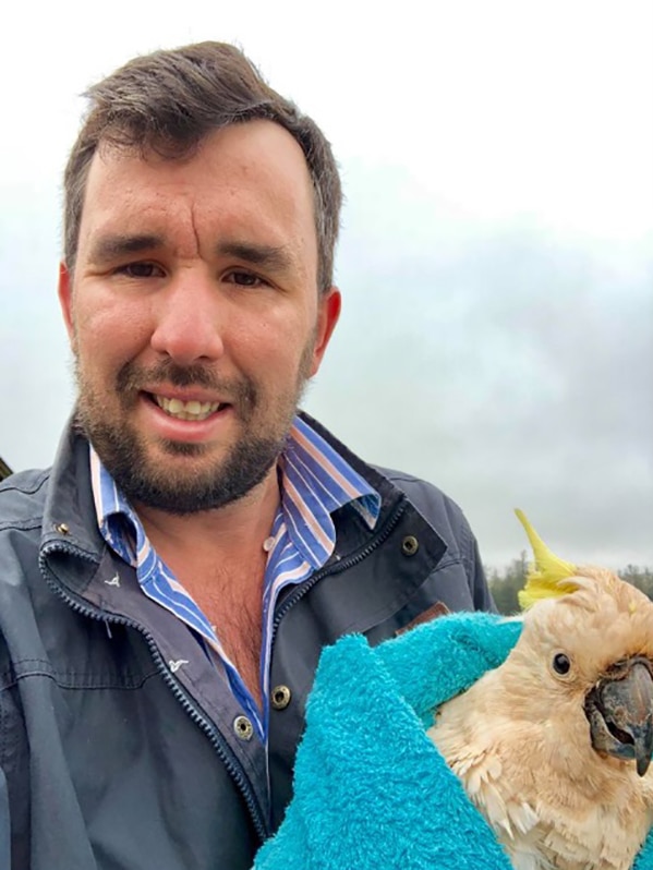 Dairy farmer Damien Tessmann holds 'Lazarus' the wild cockatoo in a blanket.