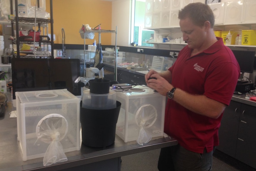 James Cook University scientist Brian Johnson in a laboratory.