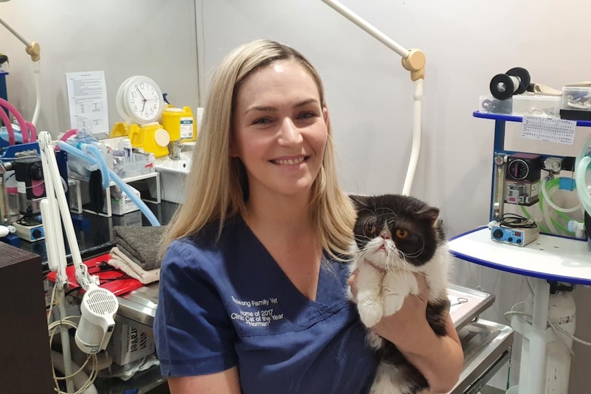 Toowong Family Vet nurse Tahlia Woodlock with a cat