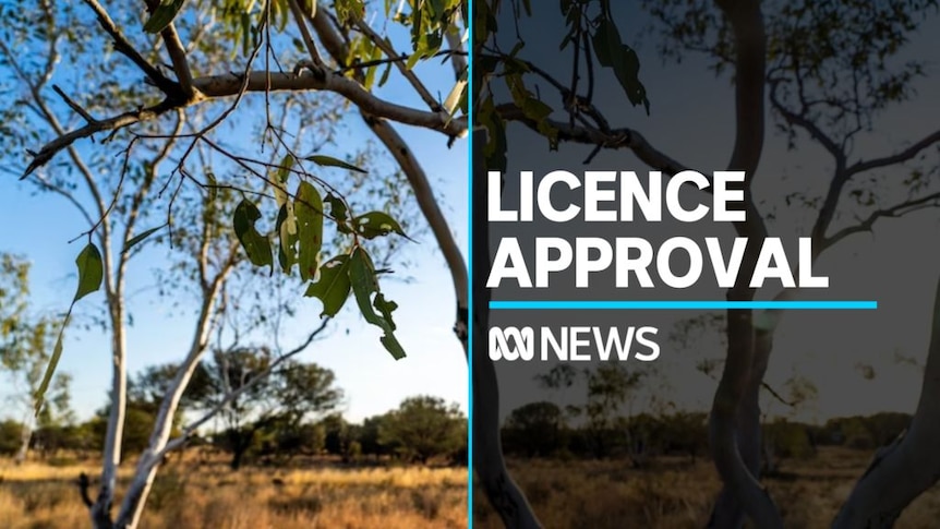 Licence Approval: Grasslands with eucalyptus tree in foreground