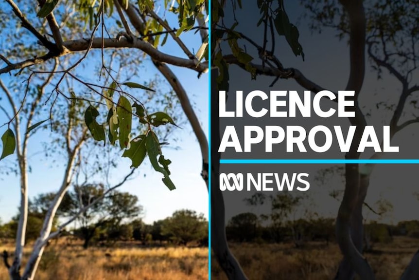 Licence Approval: Grasslands with eucalyptus tree in foreground