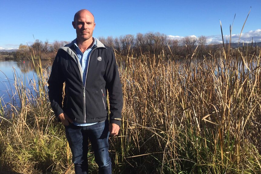 A man stands in reeds on the bank of a lake.