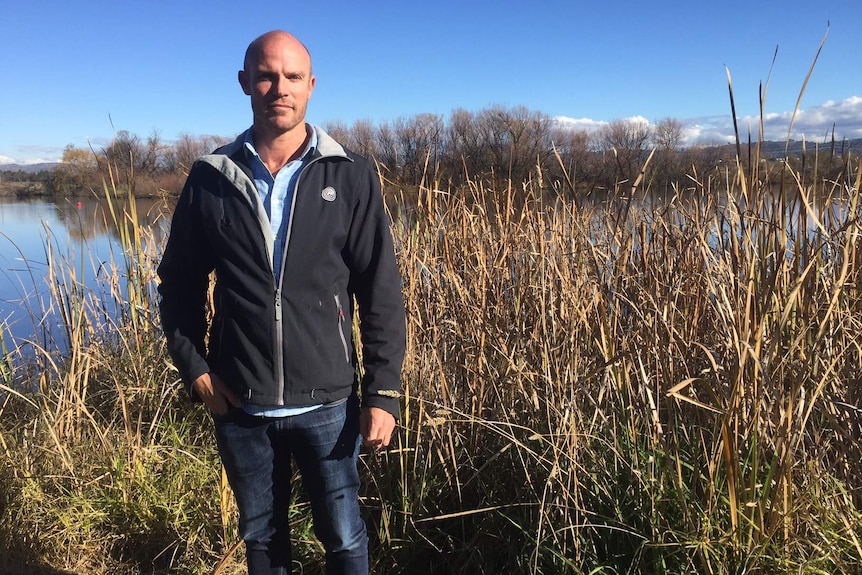 A man stands in reeds on the bank of a lake.