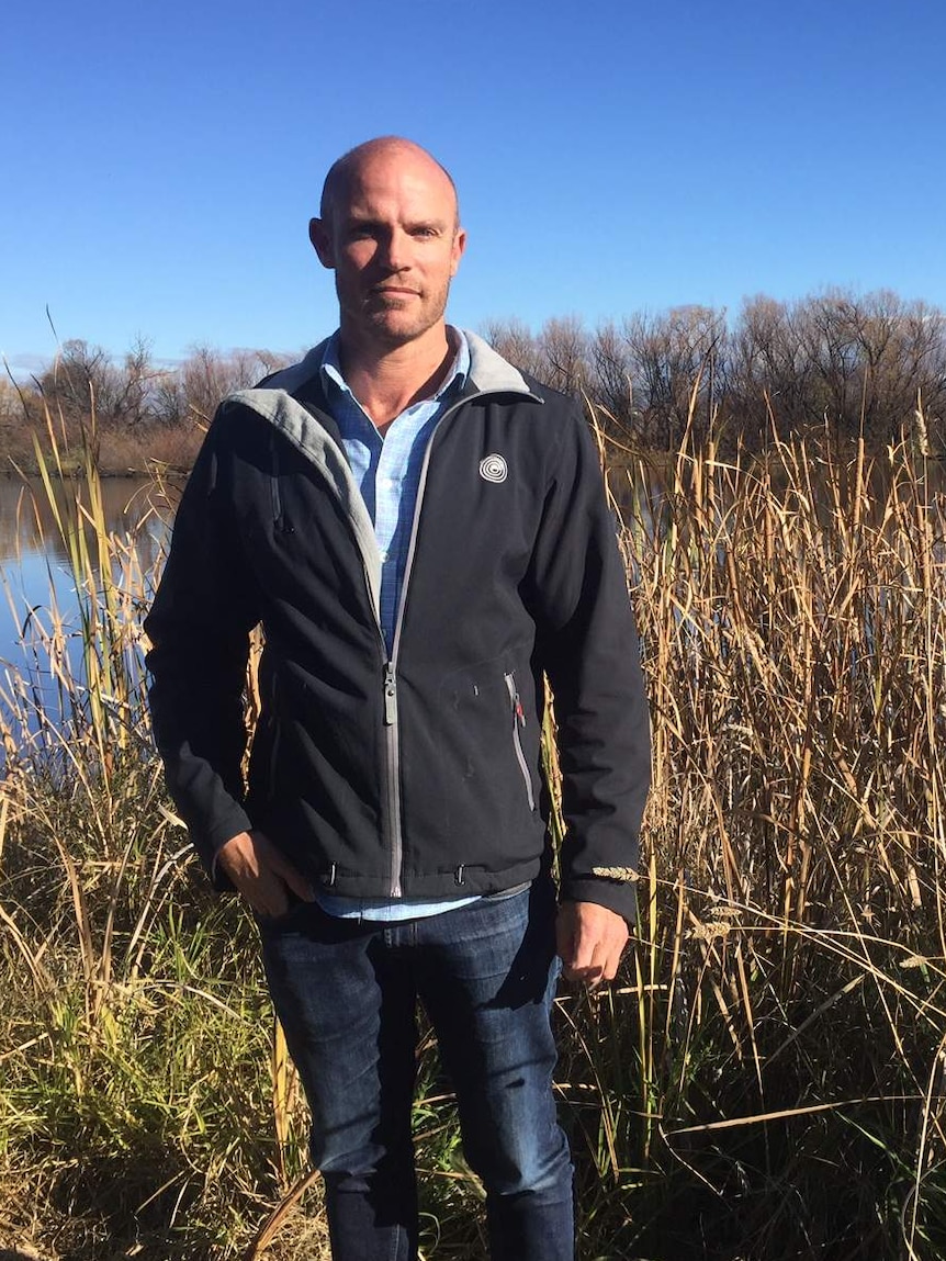 A man stands in reeds on the bank of a lake.