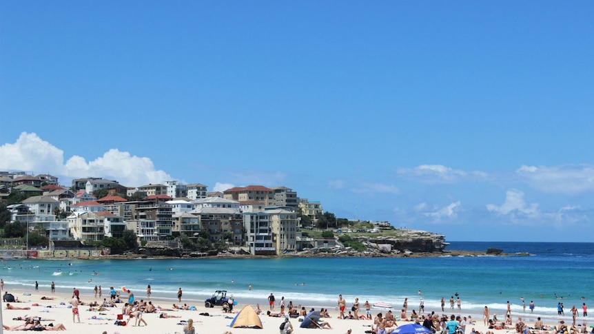 People sitting on a Sydney beach, with the ocean and houses in the background.