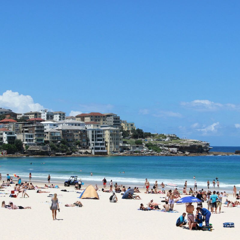 People sitting on a Sydney beach, with the ocean and houses in the background.