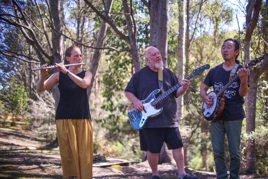 Three musicians perform on flute, bass guitar and banjo. They stand in forest.
