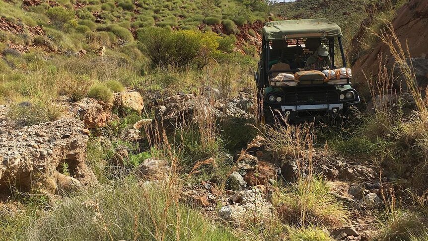 A small buggy driving in a rocky valley.