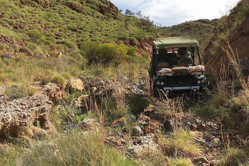 A small buggy driving in a rocky valley.