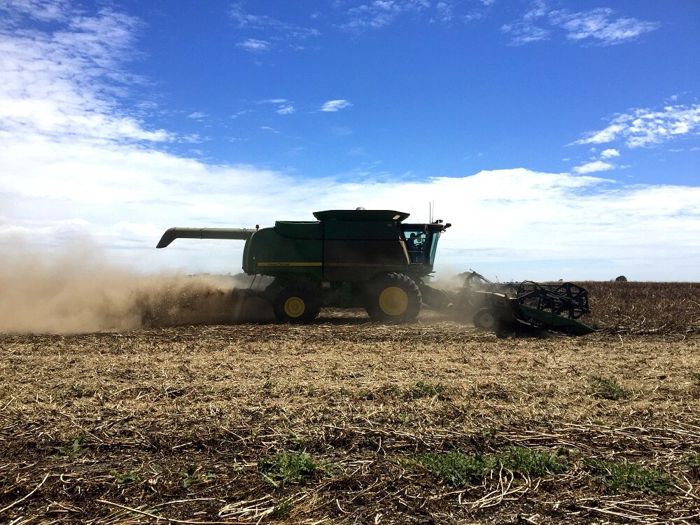 Harvest gives Naracoorte teen a reason to stay in school ABC News