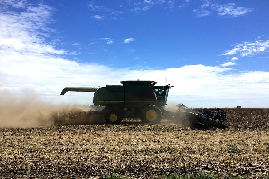 Working the harvest