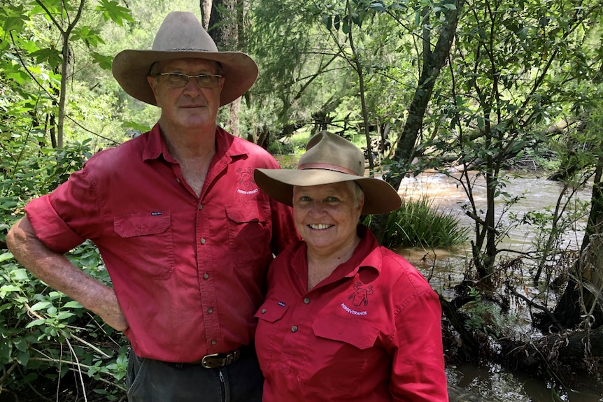 A couple standing in a flowing creek.