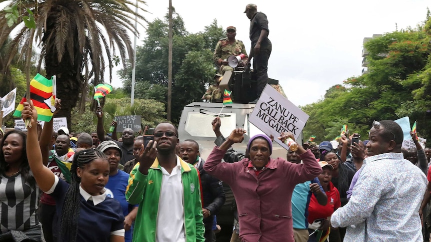 Crowds celebrate in streets on news president Robert Mugabe's rule could end