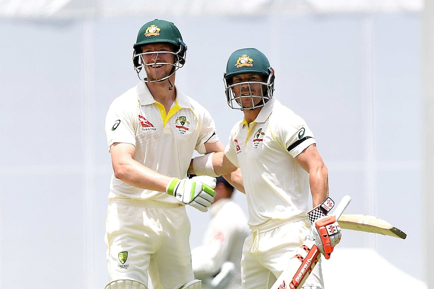 David Warner and Cameron Bancroft celebrate on the field after scoring the winning runs.